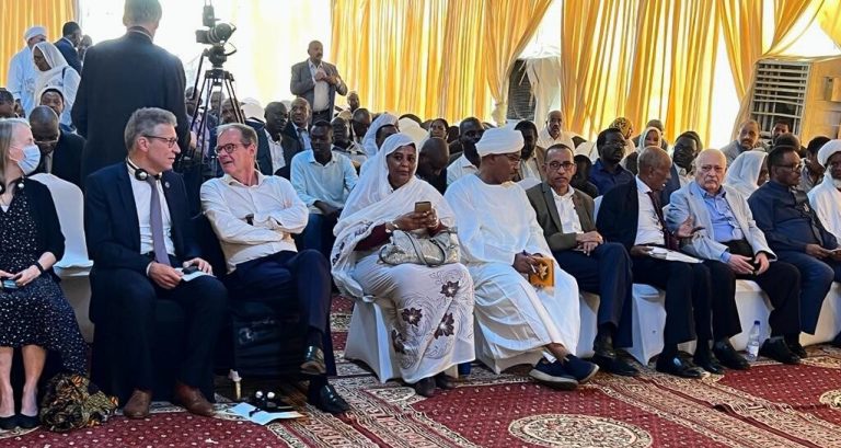 جانب من حضور ورشة الحوار حول الإطار الدستوري 