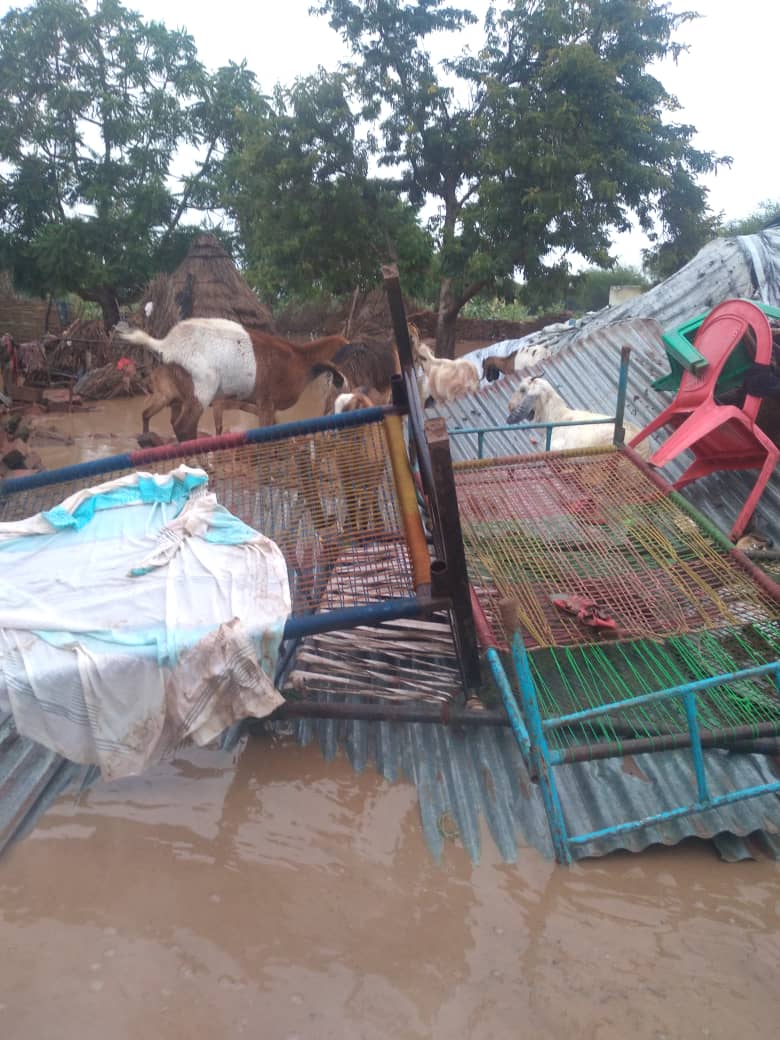 صور من ام زعيفة