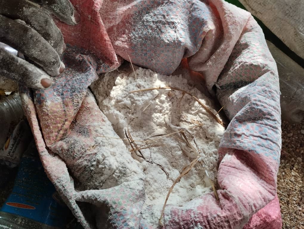 عينة من الدقيق التالف