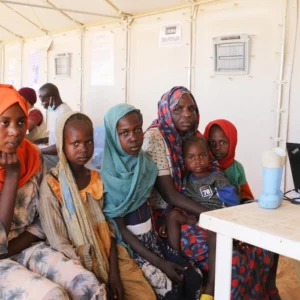 فيديو: نازحين بغرب دارفور يأكلون ورق الأشجار لسد الجوع